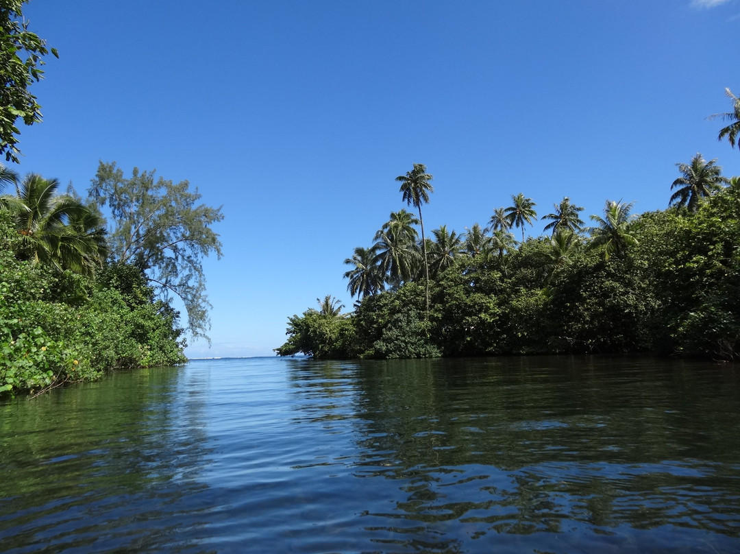 Tahiti iti Excursions景点图片