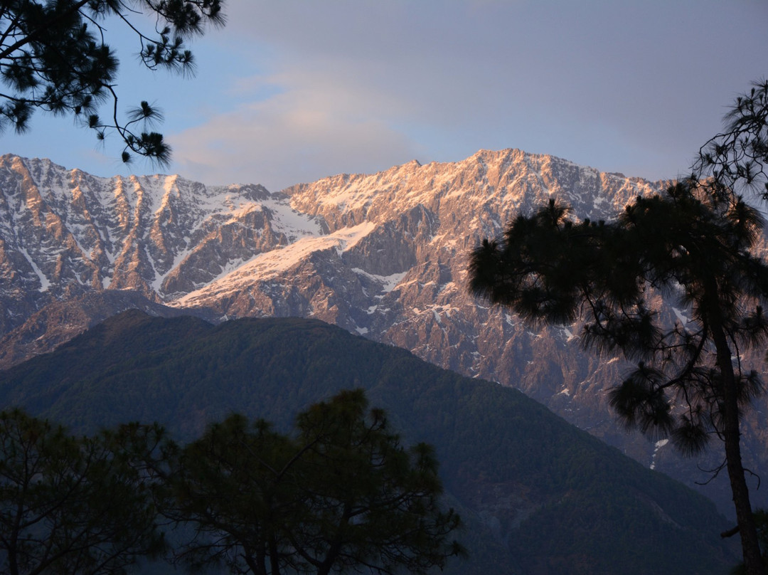 Prakriti Aalay主图