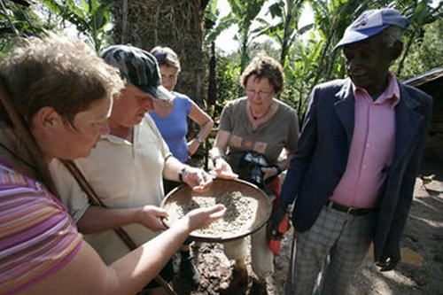 Kibosho Tours and Safaris-莫西必去景点