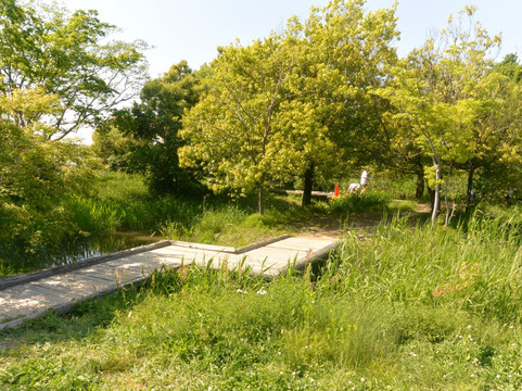 岩仓市旅游景点-Iwakura Natural Ecology Park