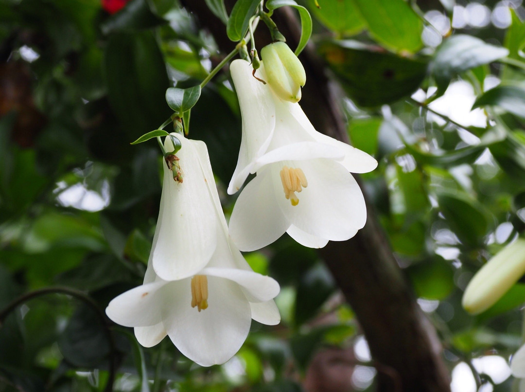 赫尔维卡花园酒店主图