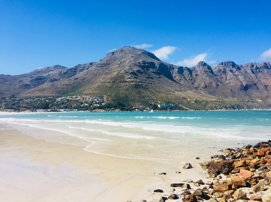 Desert Ace Tours & Charters-斯瓦科普蒙德必去景点