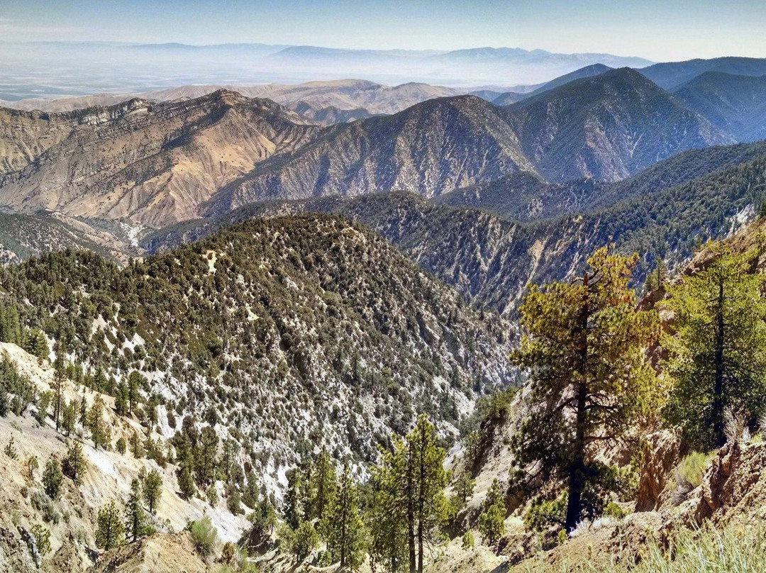 The Old Bear Bed and Breakfast主图