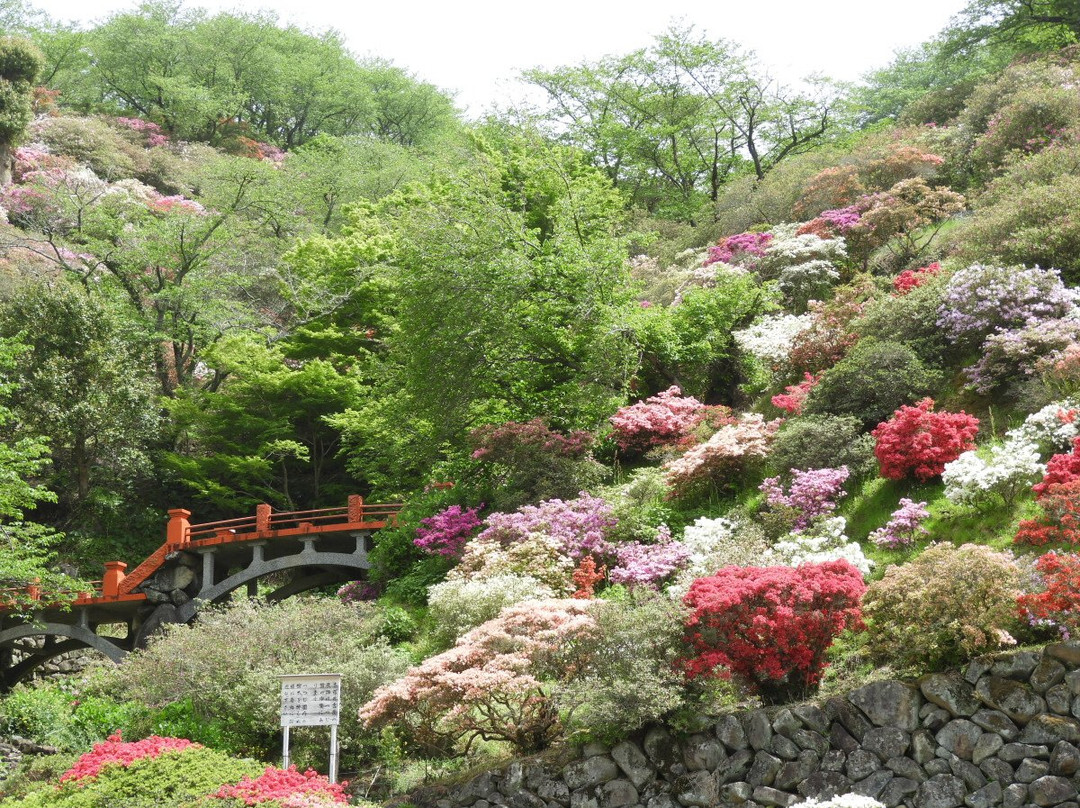 Higashiyama Park景点图片