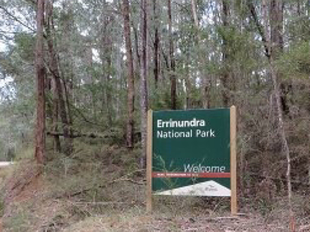 Errinundra National Park景点图片
