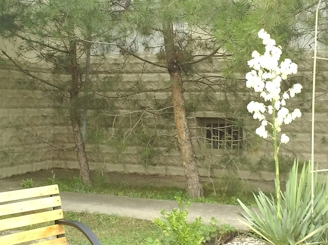 Golubaya Bukhta Guest House主图