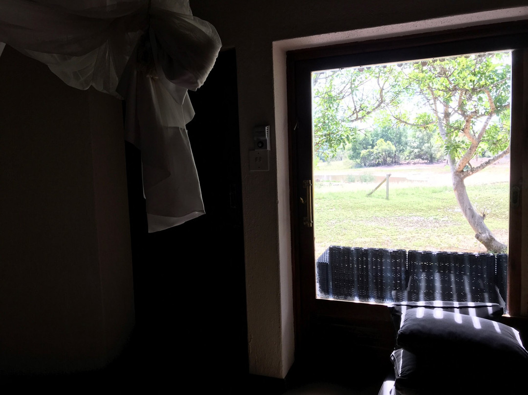 荆棘丛游戏山林小屋主图