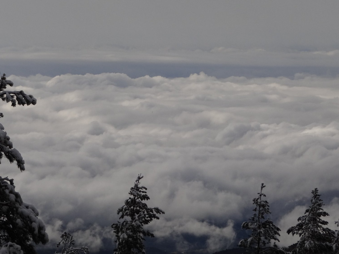 Lailias Mount Refuge主图