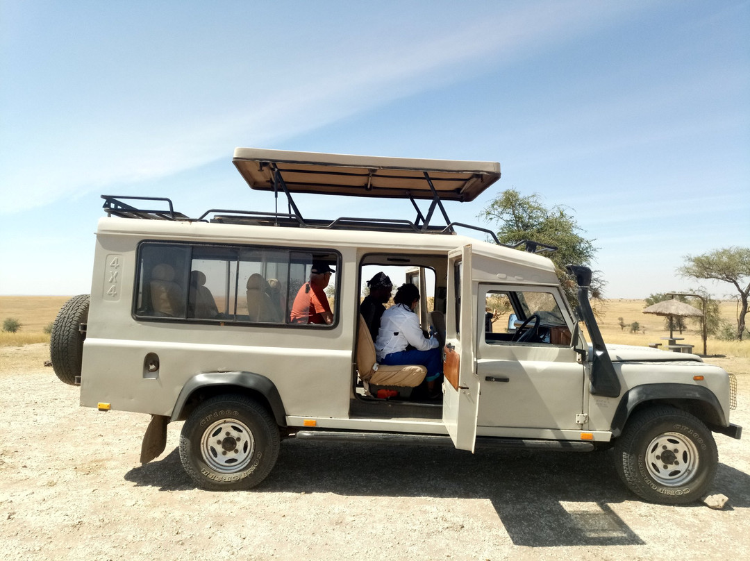 AFRICAN DIURNAL SAFARIS & TOURS-姆万扎必去景点