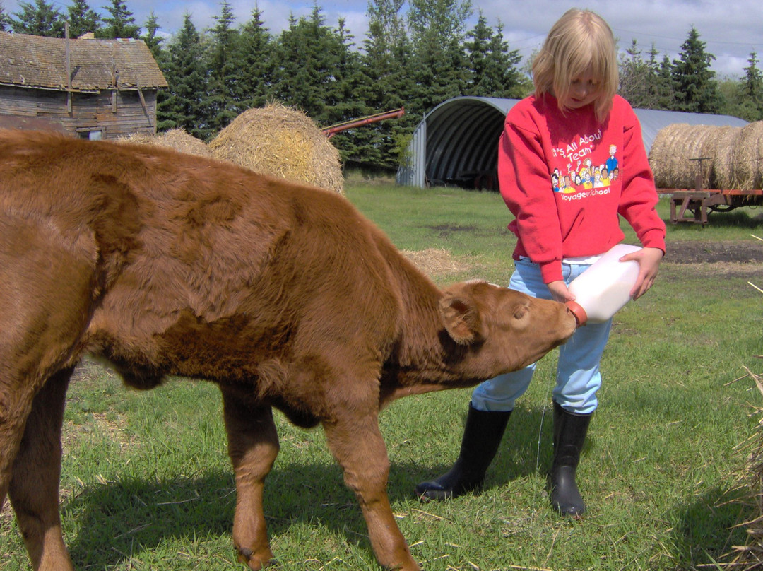 Fairmount Bed & Breakfast主图