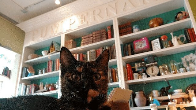 Pumpernaks-莱克兰必去景点