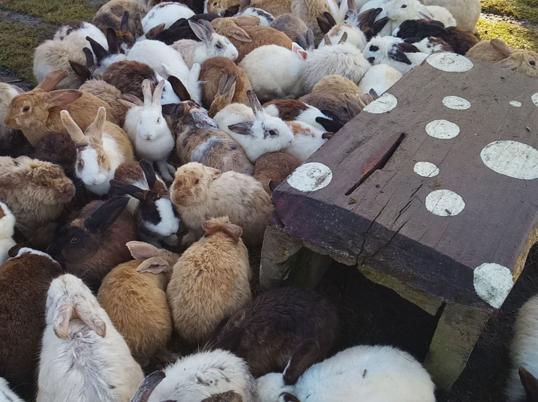 Arnab Village-拉瑙必去景点