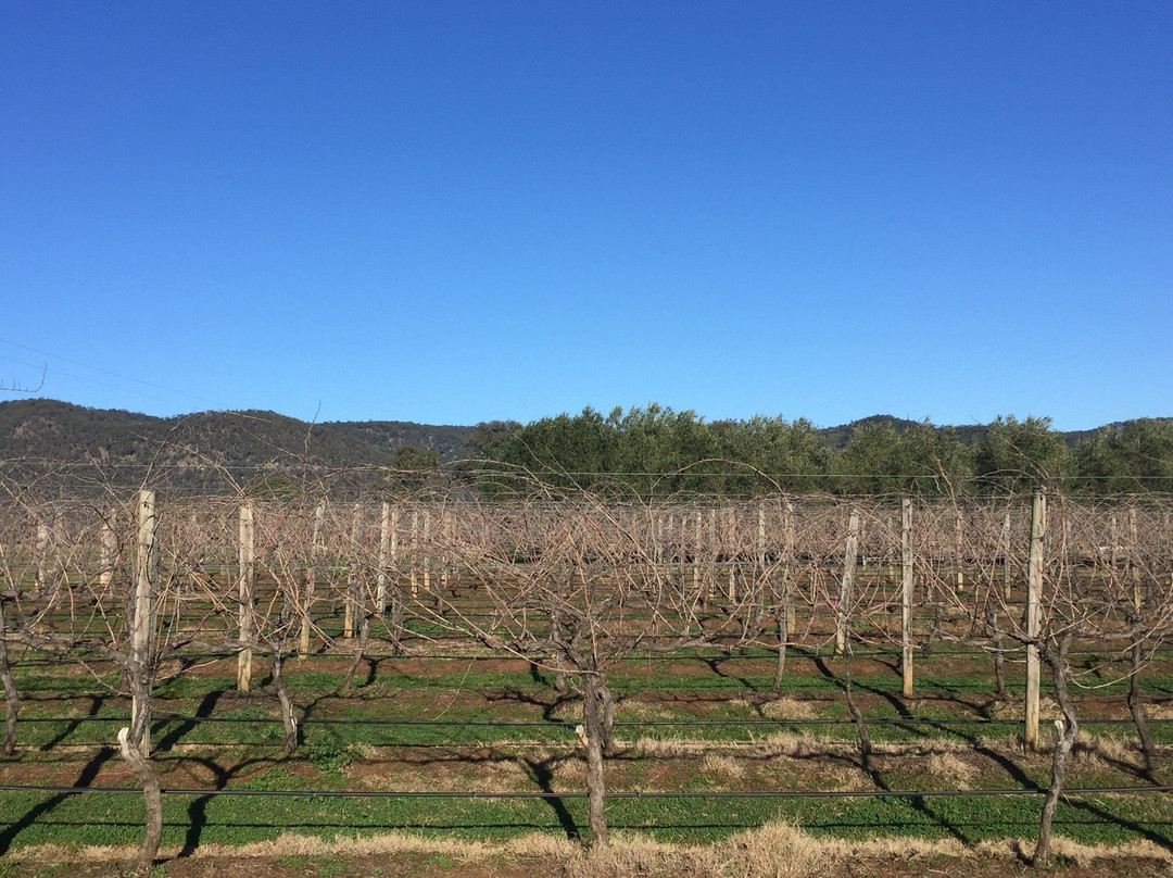 Whispering Brook Cellar Door, Winery, Guesthouse-Broke必去景点