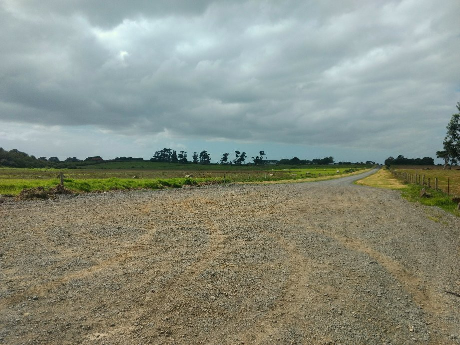 Otuataua Stonefields Reserve景点图片