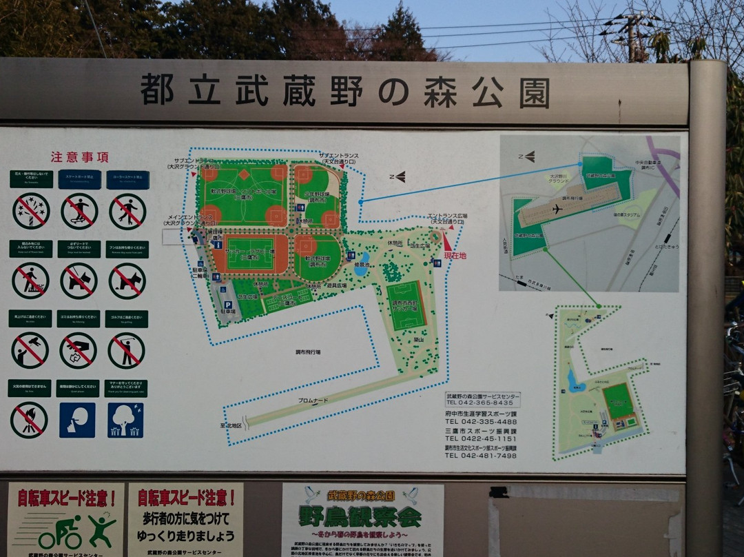 Musashinonomori Park景点图片