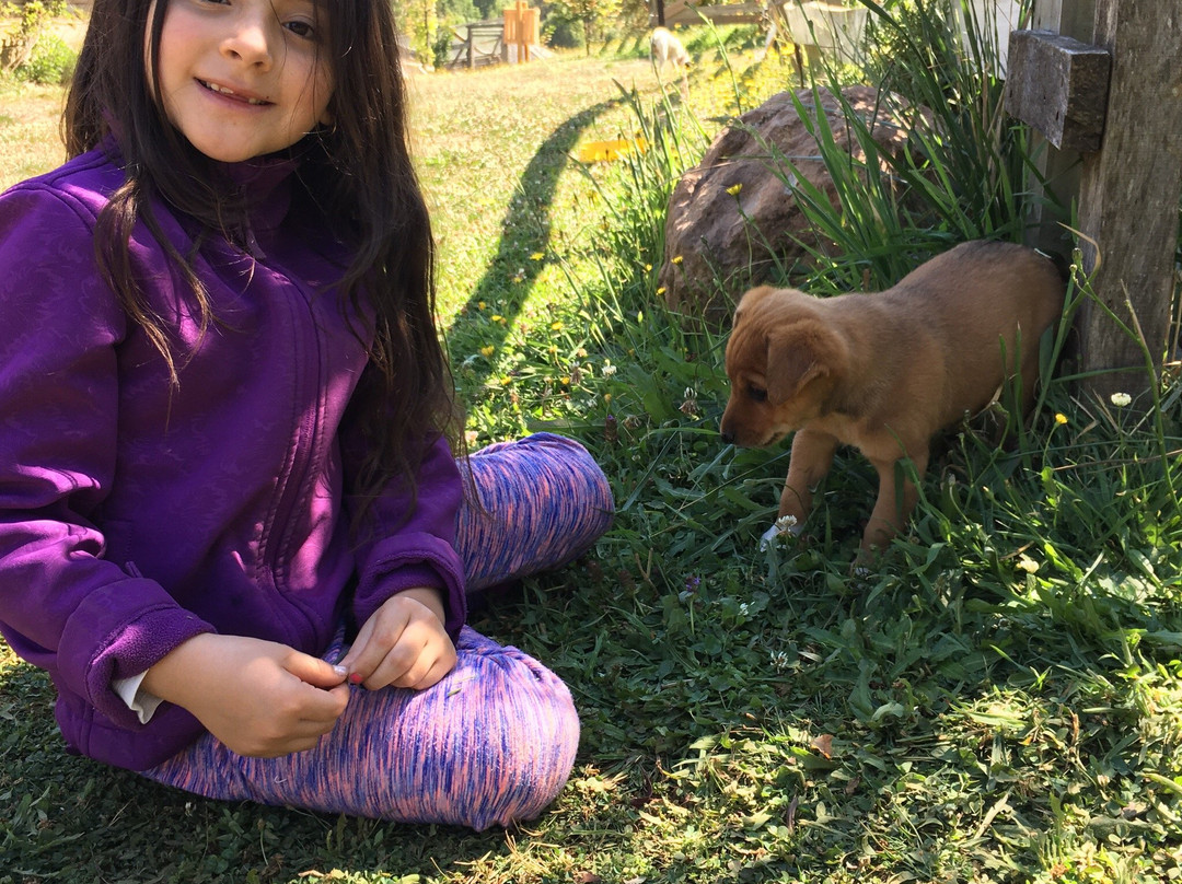 Granja Educativa de Villarrica El Dorado-比亚里卡必去景点