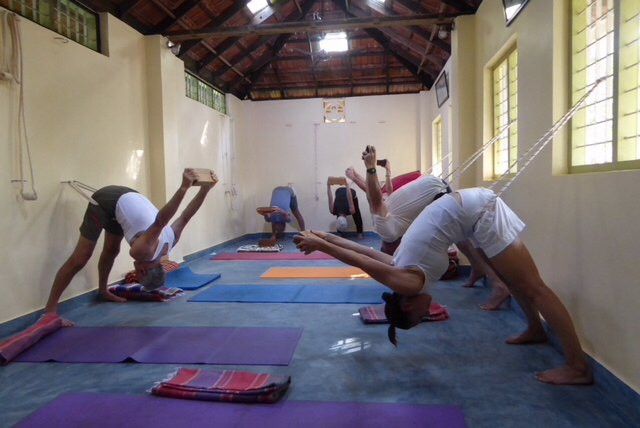 La Arcadia Iyengar Yoga Center景点图片