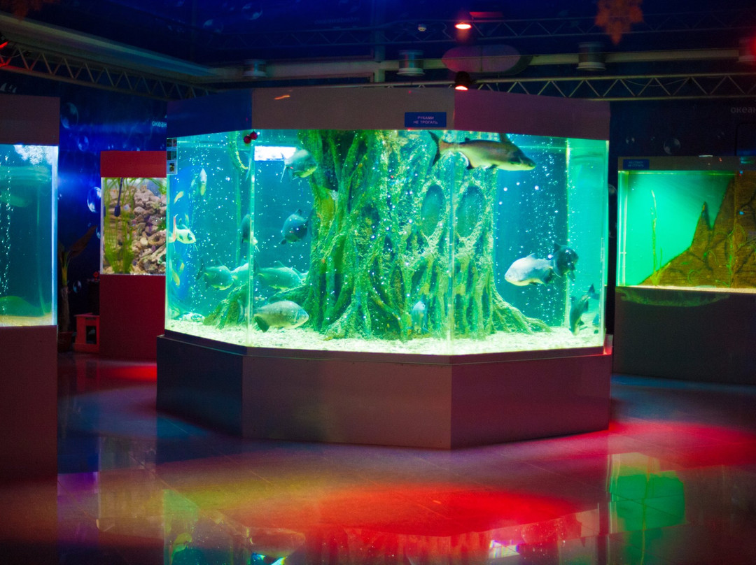 Dolphinarium Nemo-Dzhubga必去景点