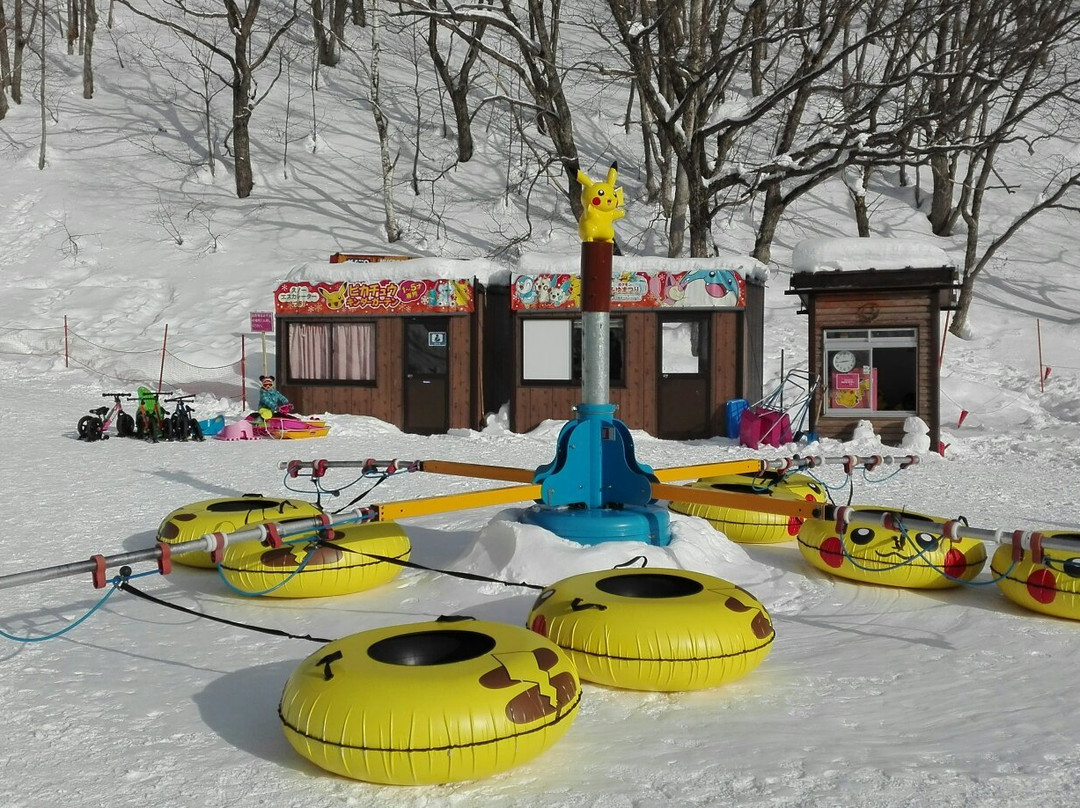 Minakami Kogen Ski Resort景点图片
