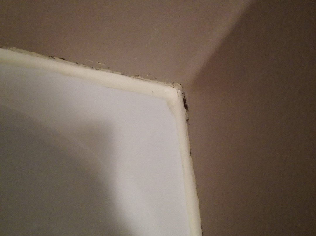 特内奥公寓酒店主图