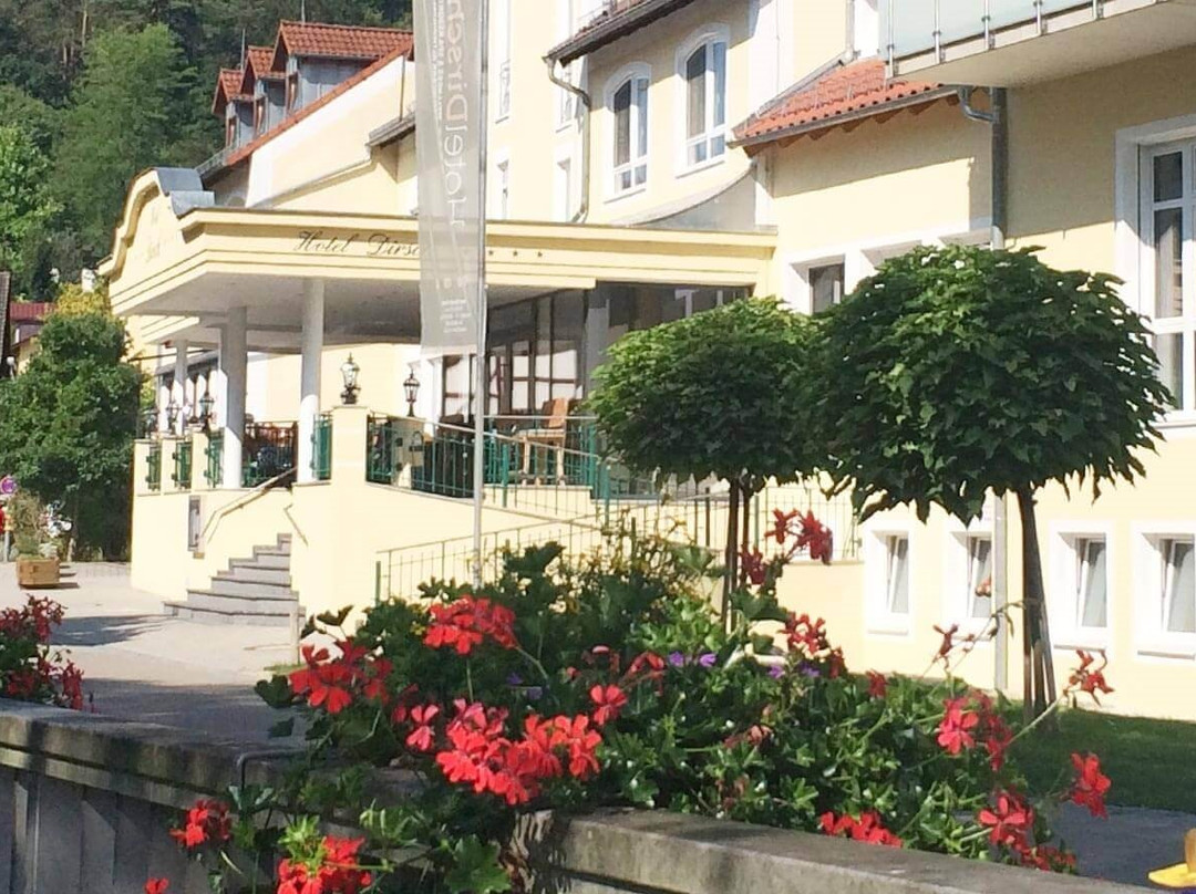 Hotel Dirsch主图