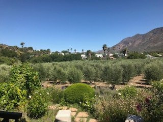 Montagu Vines Guesthouse主图