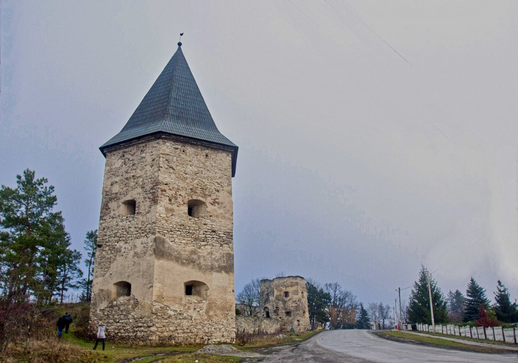 Castle Ruins at Kryvche景点图片