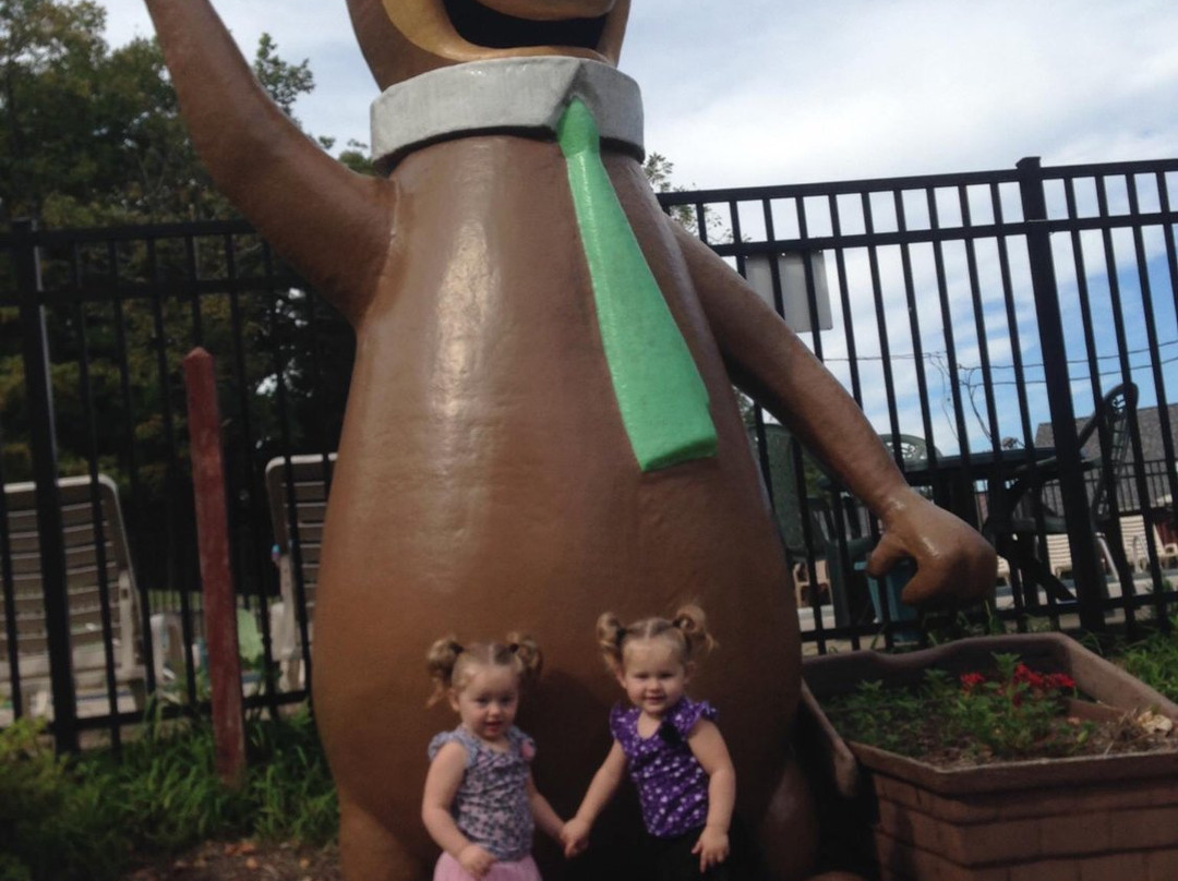 Yogi Bear's Jellystone Park景点图片