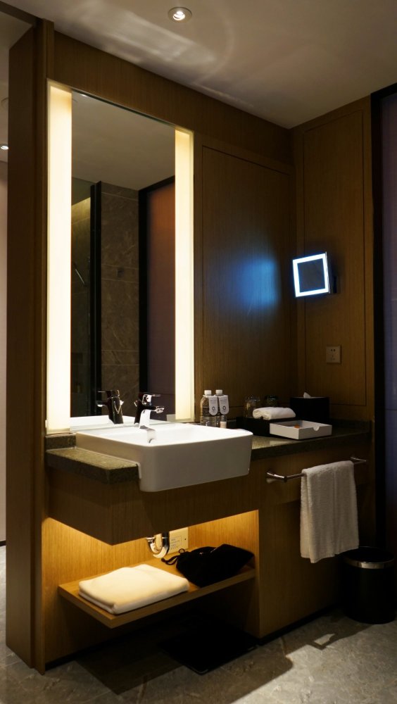 上海虹桥绿地铂骊酒店-浴室