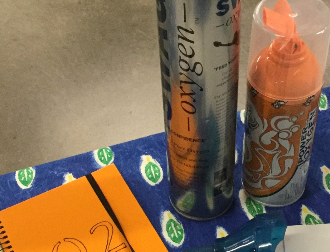 Flamingo Island Flea Market-博尼塔斯普林斯必去景点