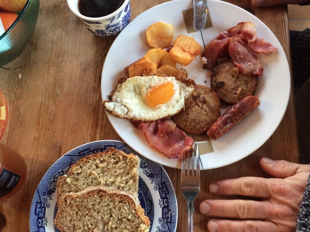 The Mermaid's Garden主图