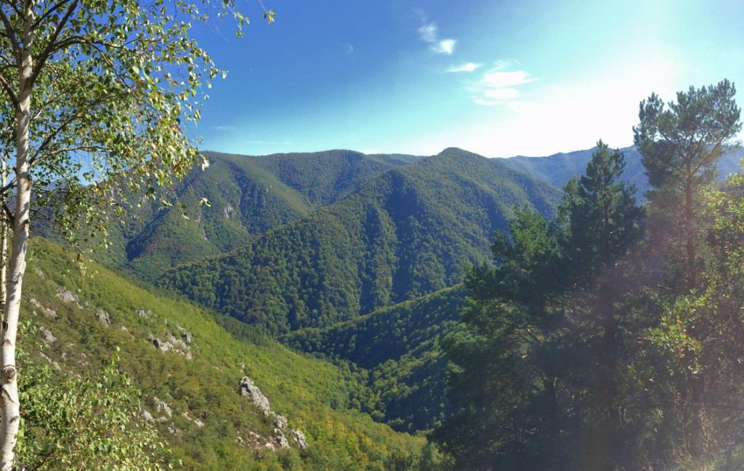 Mirador de Muniellos景点图片