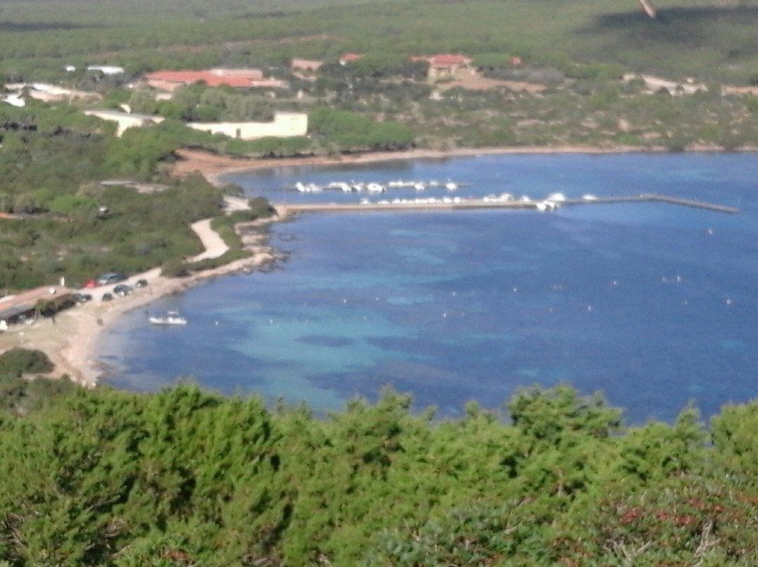 Tramariglio旅游景点-Torre del Tramariglio