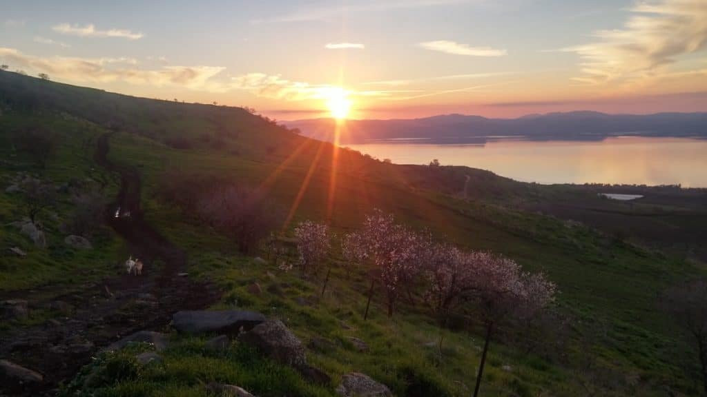 Ramot Ranch-Ramot必去景点