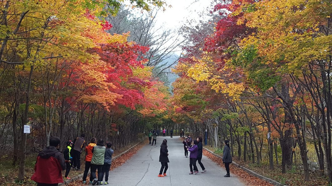 Pilrye Mineral Spring-麟蹄郡必去景点