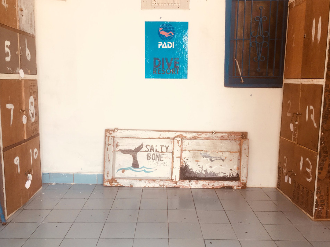 Salty Bone Divers-玛玛拉普蓝必去景点