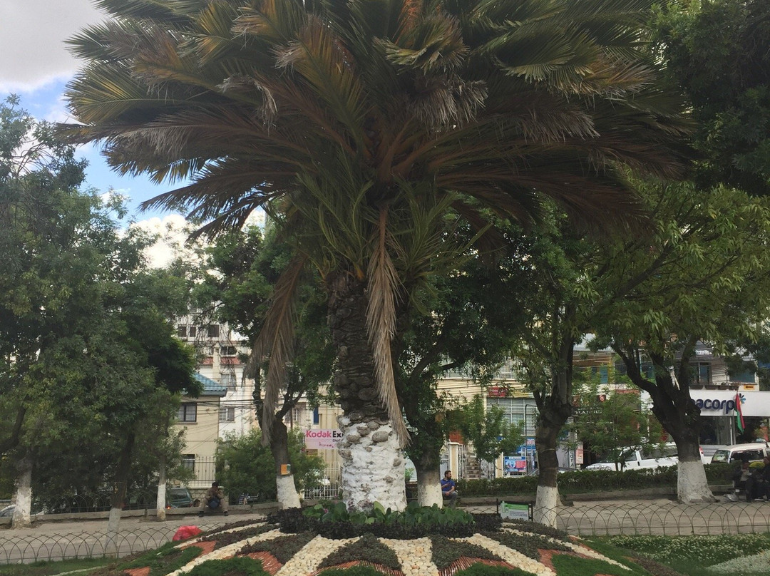 Plaza Abaroa-拉巴斯必去景点