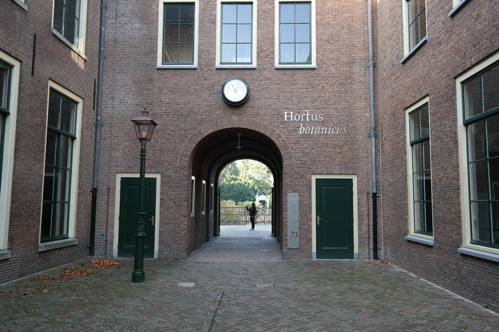 Leiden University Academic Building-莱顿必去景点