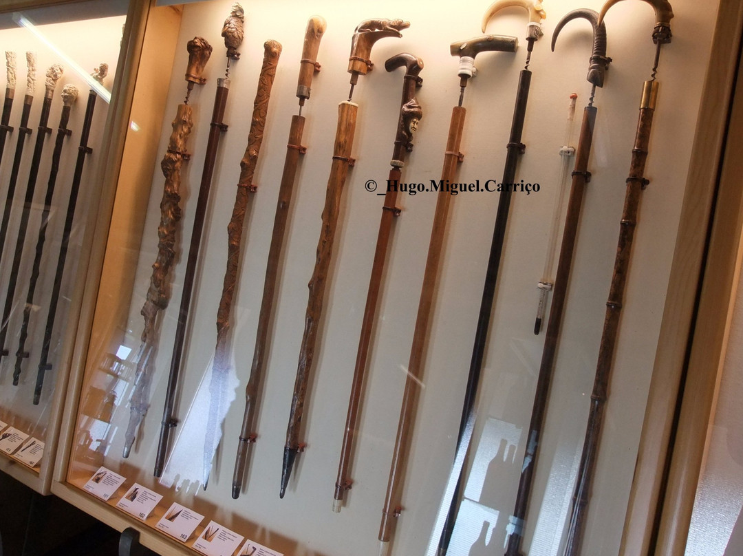 Museo del Vino - Vigneti Pittaro-Zompicchia必去景点