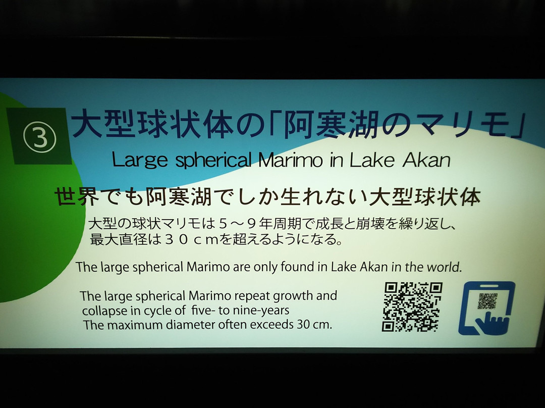 Marimo Exhibition and Observation Center-钏路市必去景点