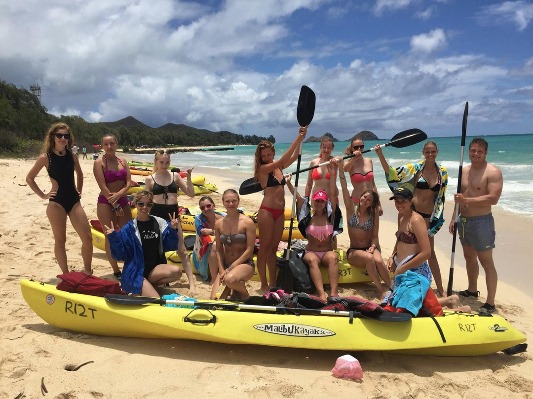 Sun & Salt Adventures Hawaii-科纳必去景点