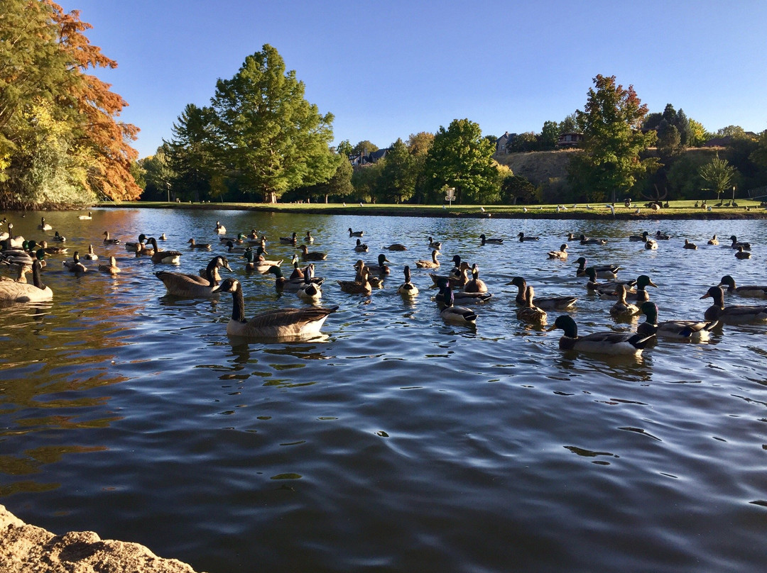 Ann Morrison Park-博伊西必去景点