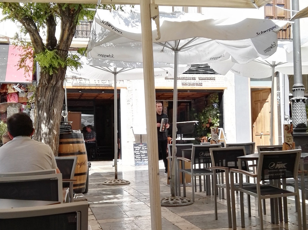 Nueva Andalucia酒店住宿-Hostal Restaurante Nueva Andalucia