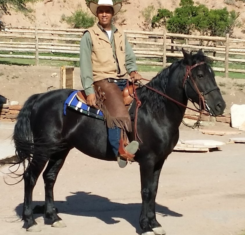 Bishop's Lodge Stables-圣菲必去景点