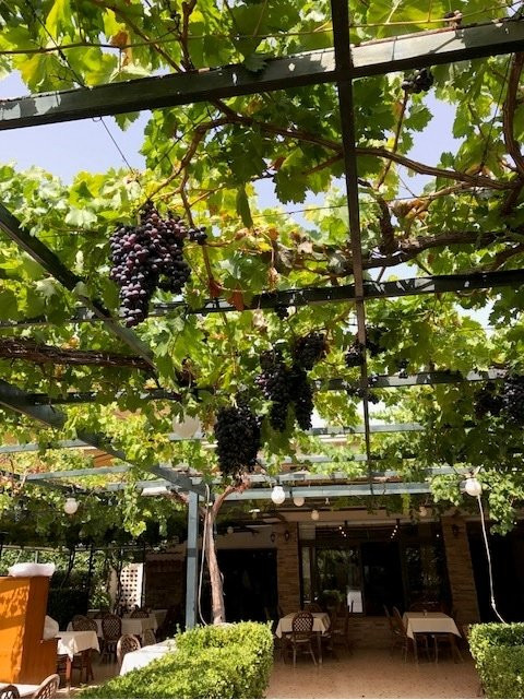 瓦里餐馆和美食-Babis Fish & Wine