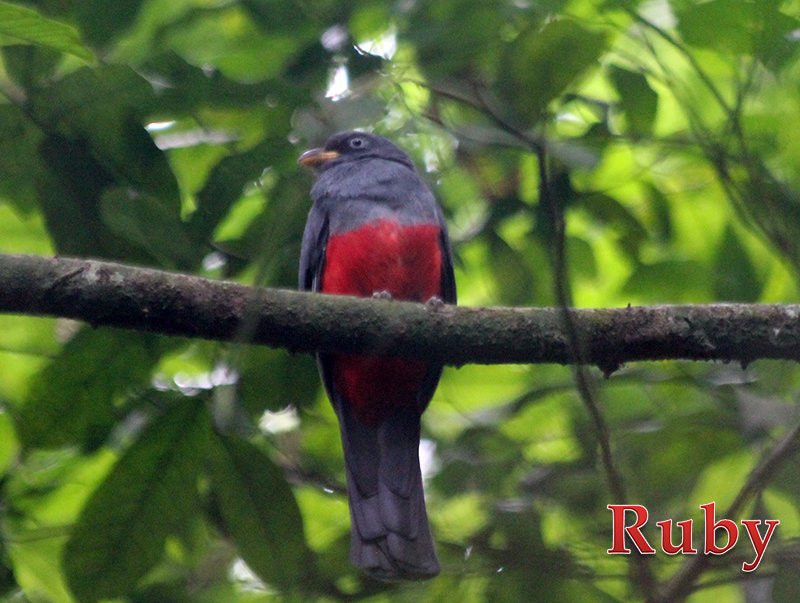 Reserva Ecologica Manglares Churute-瓜亚基尔必去景点