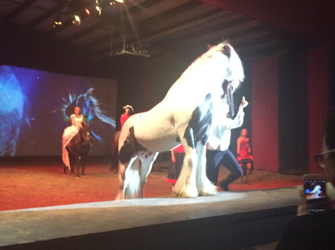 Parc Cavaland-Sainte-Marguerite-du-Lac-Masson必去景点