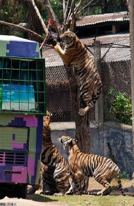 武汉九峰森林动物园-武汉市必去景点