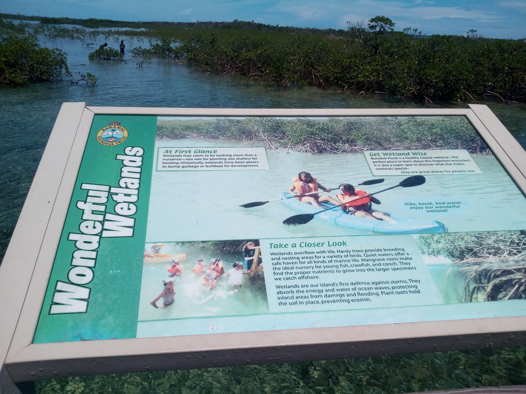 Bonefish Pond National Park-拿骚必去景点