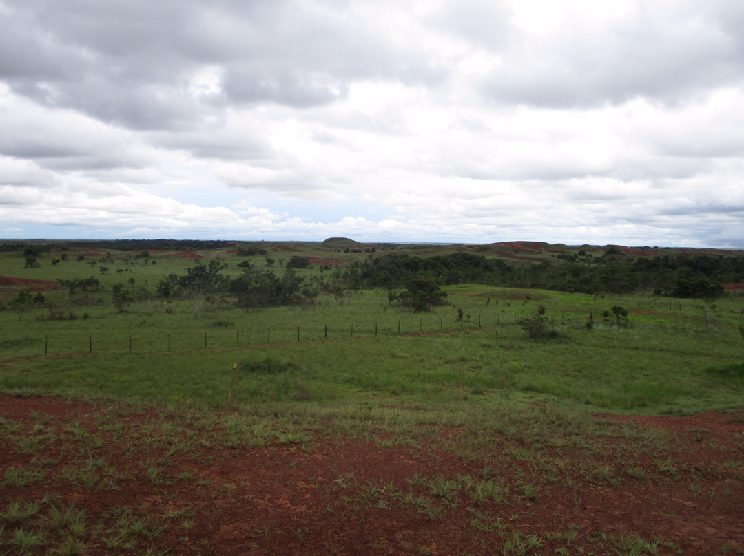 Puerto Gaitan旅游攻略图片